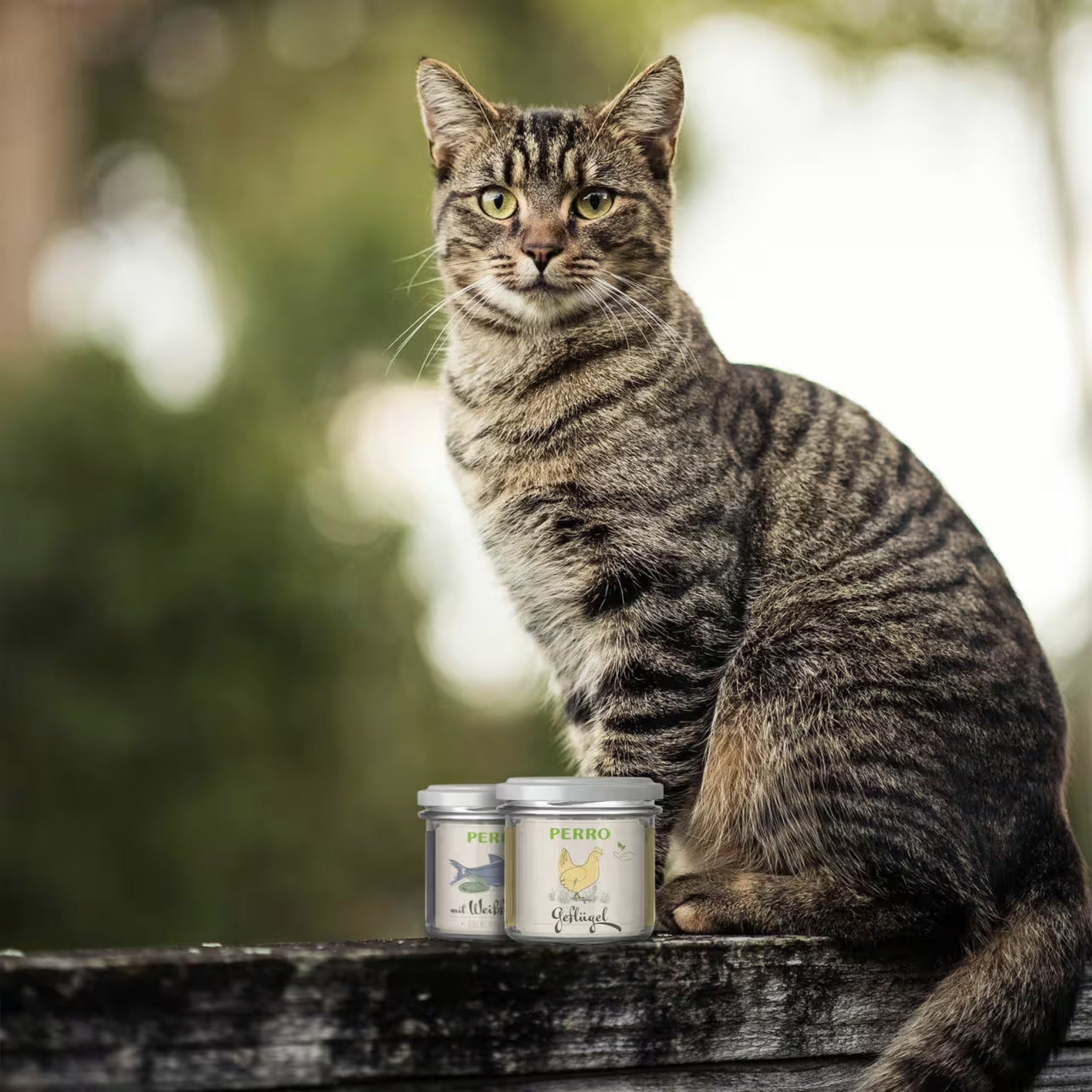 Perro Genießer Glas Herz &amp; Minze - Katzen Nassfutter - Woofshack