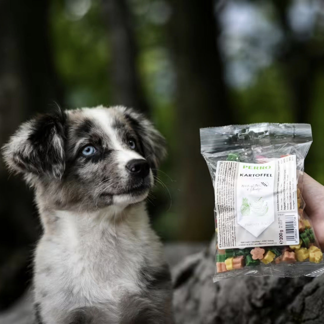 Perro Kartoffel Softies Früchte, Hundesnack - Woofshack