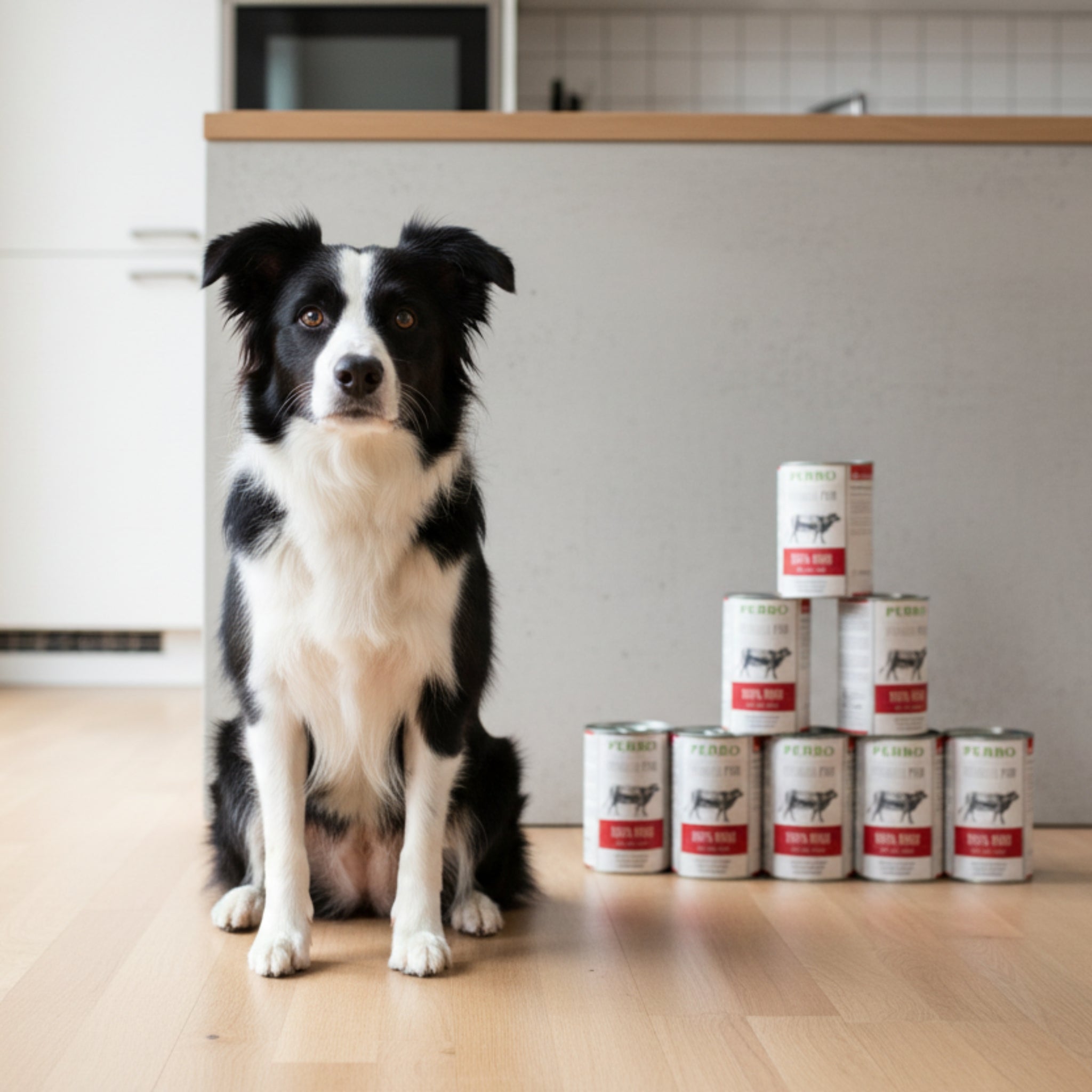 Perro Premium Pur Rind Nassfutter – 100% Singleprotein für Hunde mit Allergien &amp; sensibler Verdauung – Hypoallergen, Getreidefrei &amp; Schonend - Woofshack