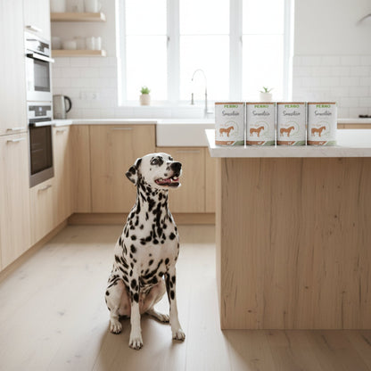 Perro Sensitive Control Pferd &amp; Gemüse – Hypoallergenes Premium Nassfutter für Hunde mit Futtermittelallergien, Getreidefrei &amp; Glutenfrei - Woofshack