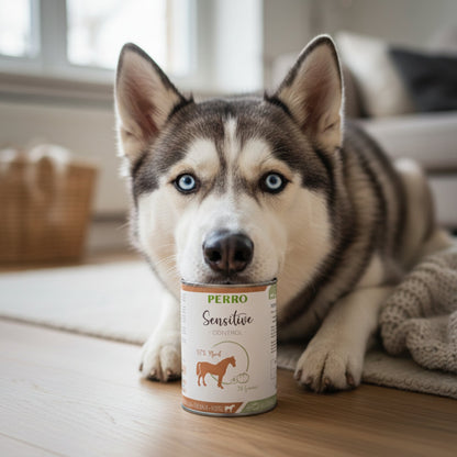 Perro Sensitive Control Pferd &amp; Gemüse – Hypoallergenes Premium Nassfutter für Hunde mit Futtermittelallergien, Getreidefrei &amp; Glutenfrei - Woofshack