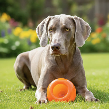 Planet Dog Orbee - Tuff Snoop Intelligenzspielzeug – Interaktiver Leckerli - Spender gegen Langeweile &amp; für mentale Auslastung - Woofshack