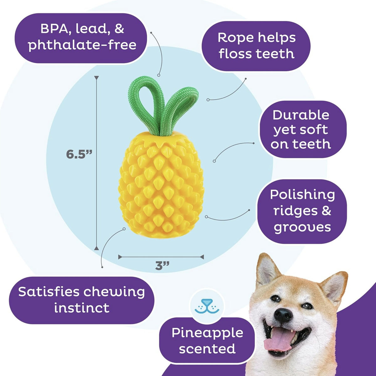 Planet Dog Dental Pineapple – Zahnpflege-Kauspielzeug mit Minzduft für gesunde Zähne &amp; frischen Atem
