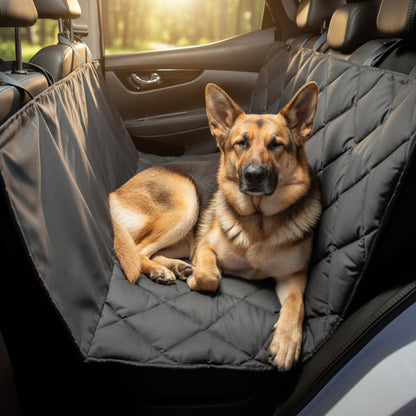 Pointer Autoschondecke für Rückbank by Doctor Bark – Premium Schutz, rutschfest &amp; waschbar für entspannte Autofahrten mit Hund - Woofshack