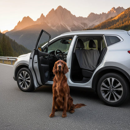 Pointer Autoschondecke für Rückbank by Doctor Bark – Premium Schutz, rutschfest &amp; waschbar für entspannte Autofahrten mit Hund - Woofshack