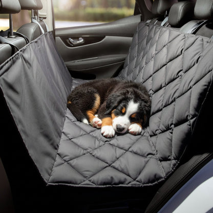Pointer Autoschondecke für Rückbank by Doctor Bark – Premium Schutz, rutschfest &amp; waschbar für entspannte Autofahrten mit Hund - Woofshack