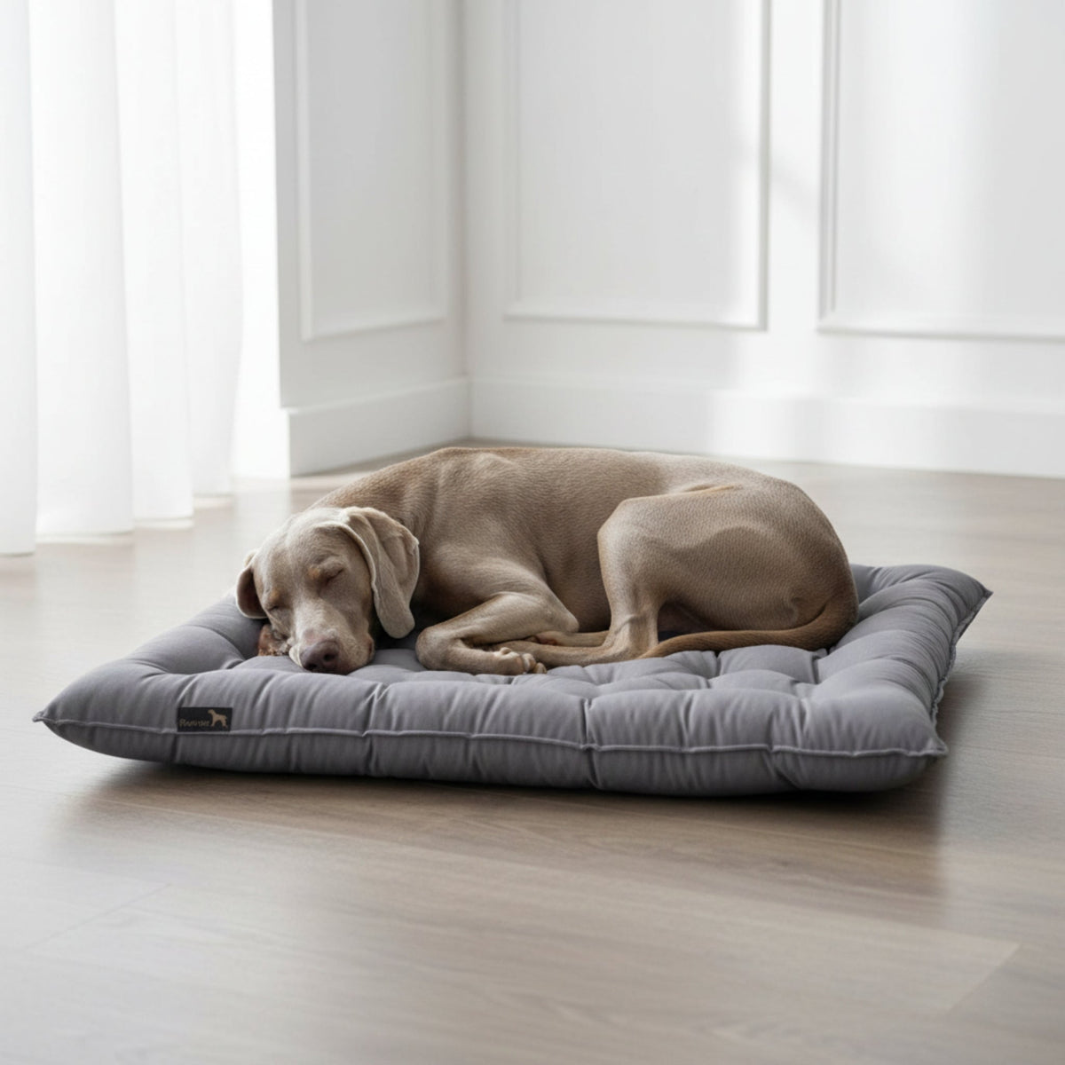 Pointer Hundekissen by Doctor Bark – Orthopädisches Premium - Hundebett mit Gelenkentlastung &amp; Wärmespeicherung für schmerzfreien Schlafkomfort - Woofshack