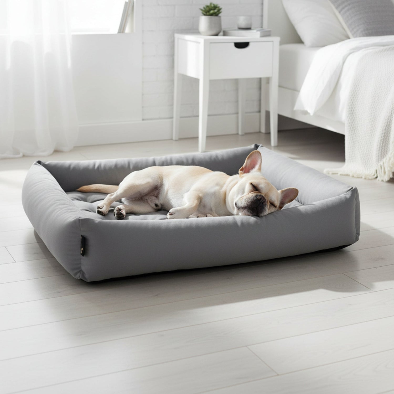 Pointer – Orthopädisches Hundebett by Doctor Bark | Gelenkschonend &amp; Druckentlastend für schmerzfreien Schlaf - Woofshack