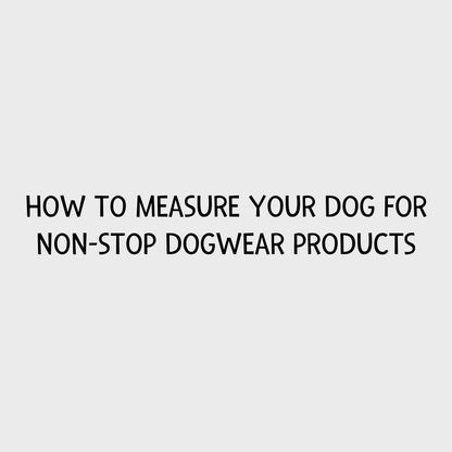 Video - How to measure your dog for Non-stop dogwear products