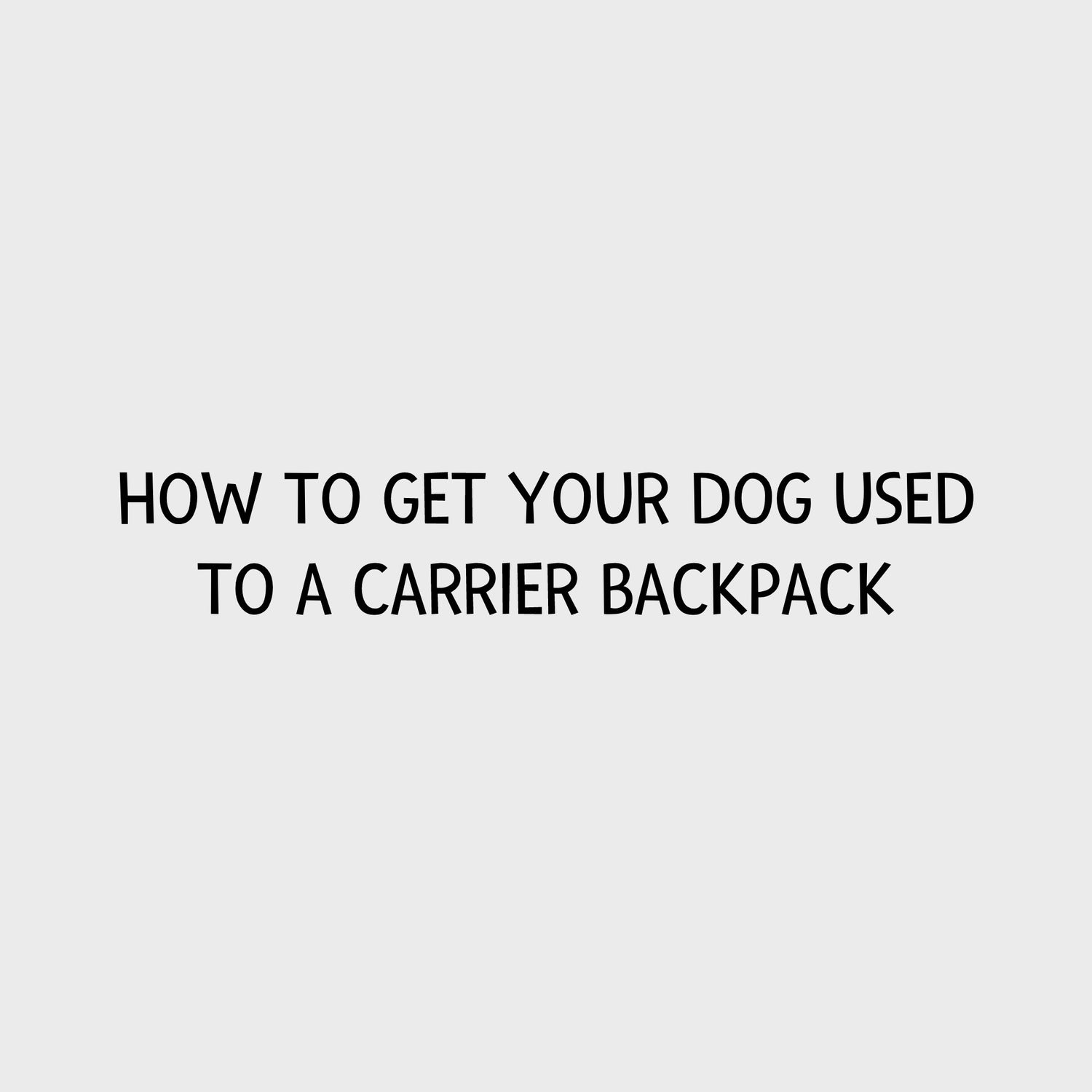 Video - How to get your dog used to a carrier backpack
