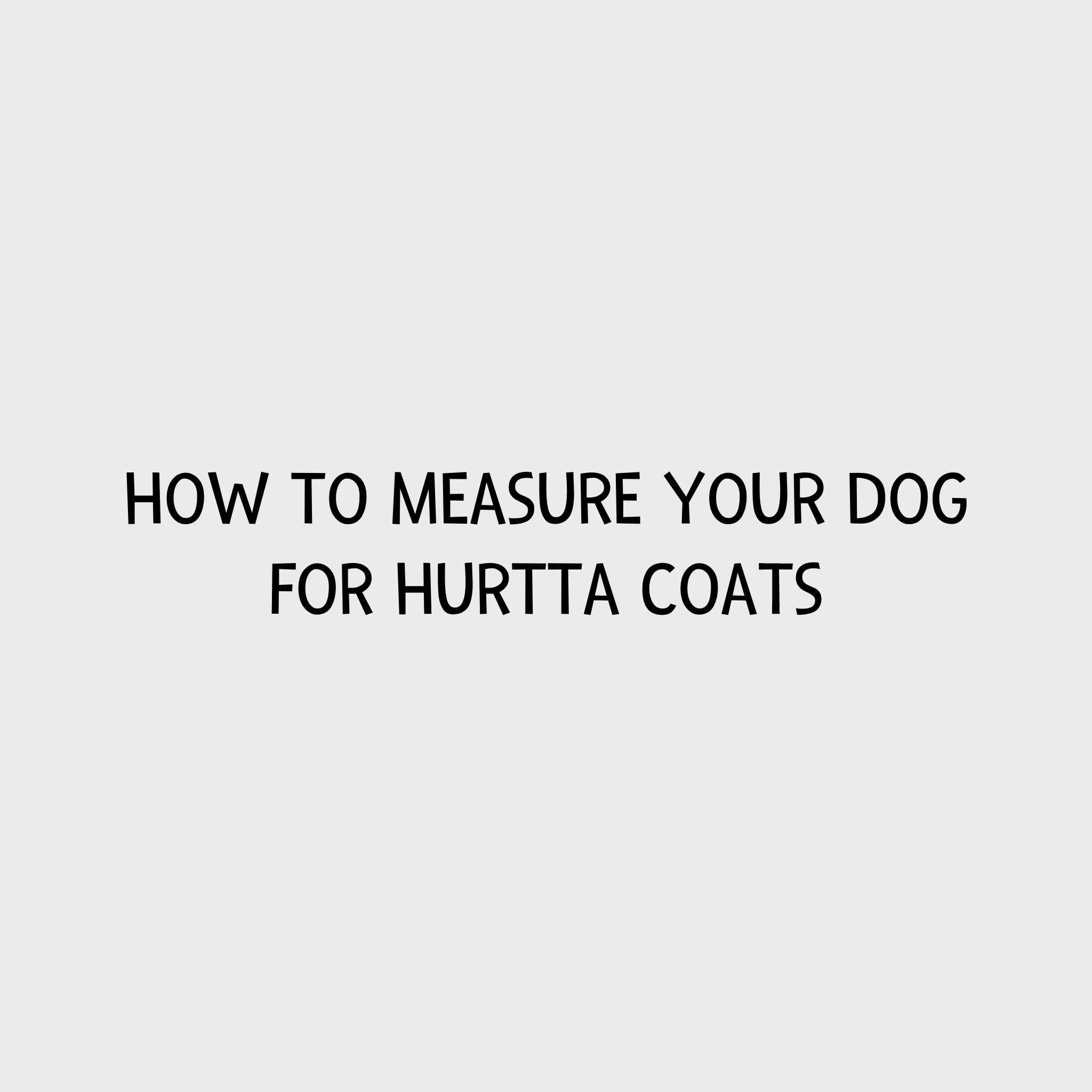 Video - How to measure your dog for Hurtta coats