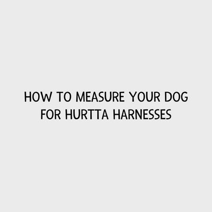 Video - How to measure your dog for Hurtta harnesses