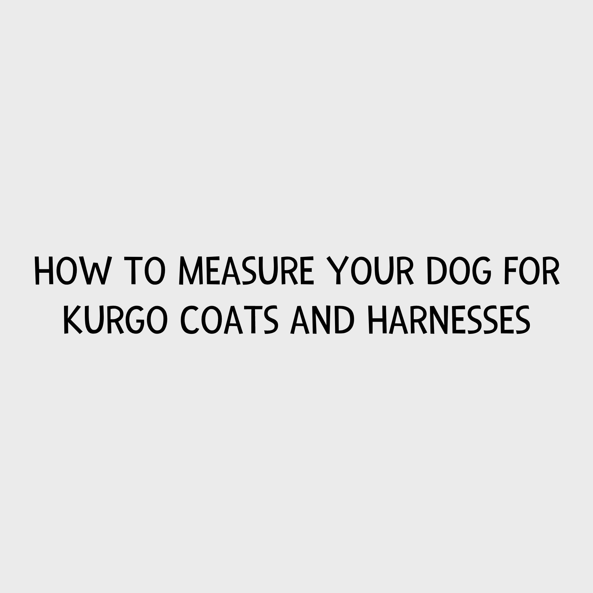 Kurgo - How to measure your dog for Kurgo coats and harnesses