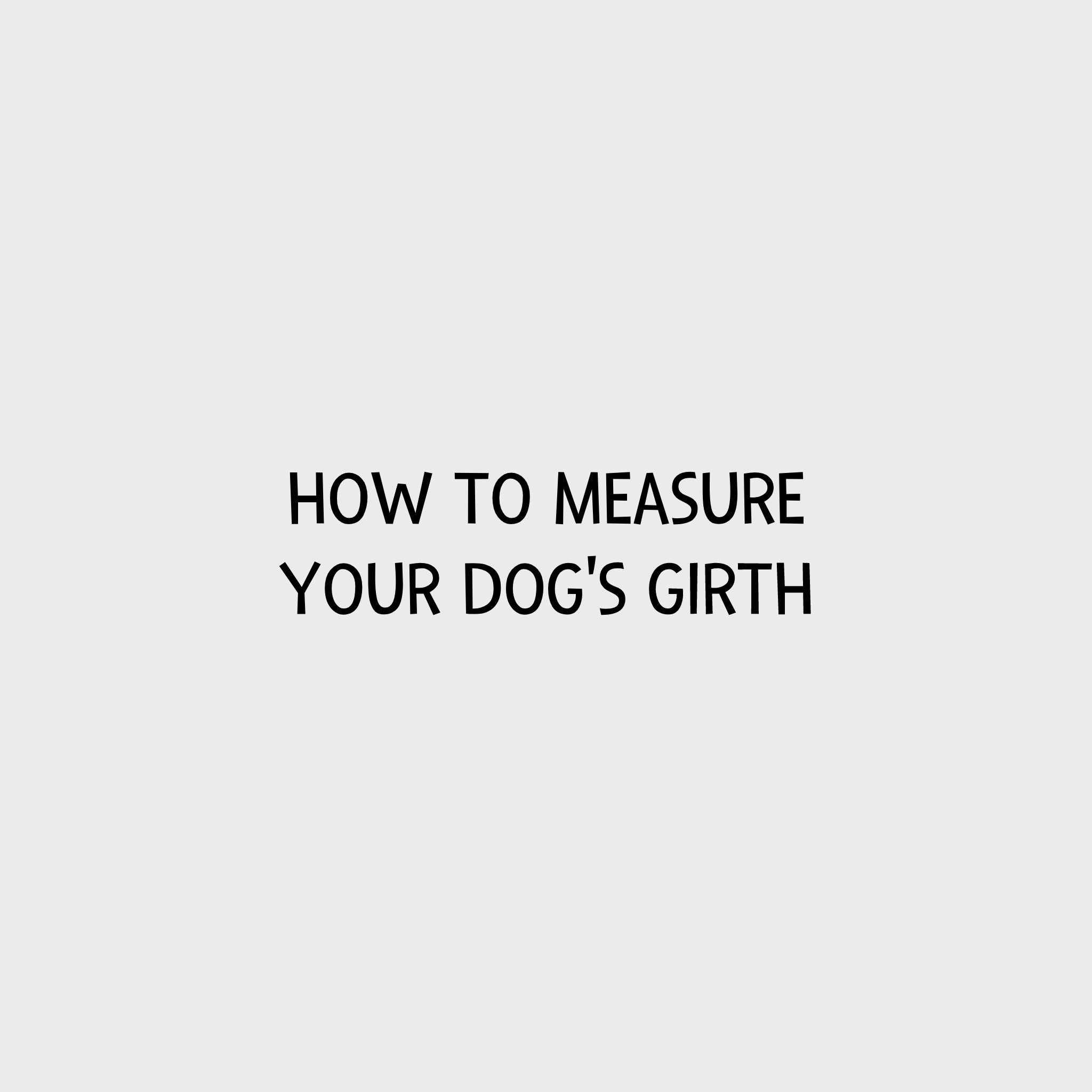 Video - How to measure your dog's girth