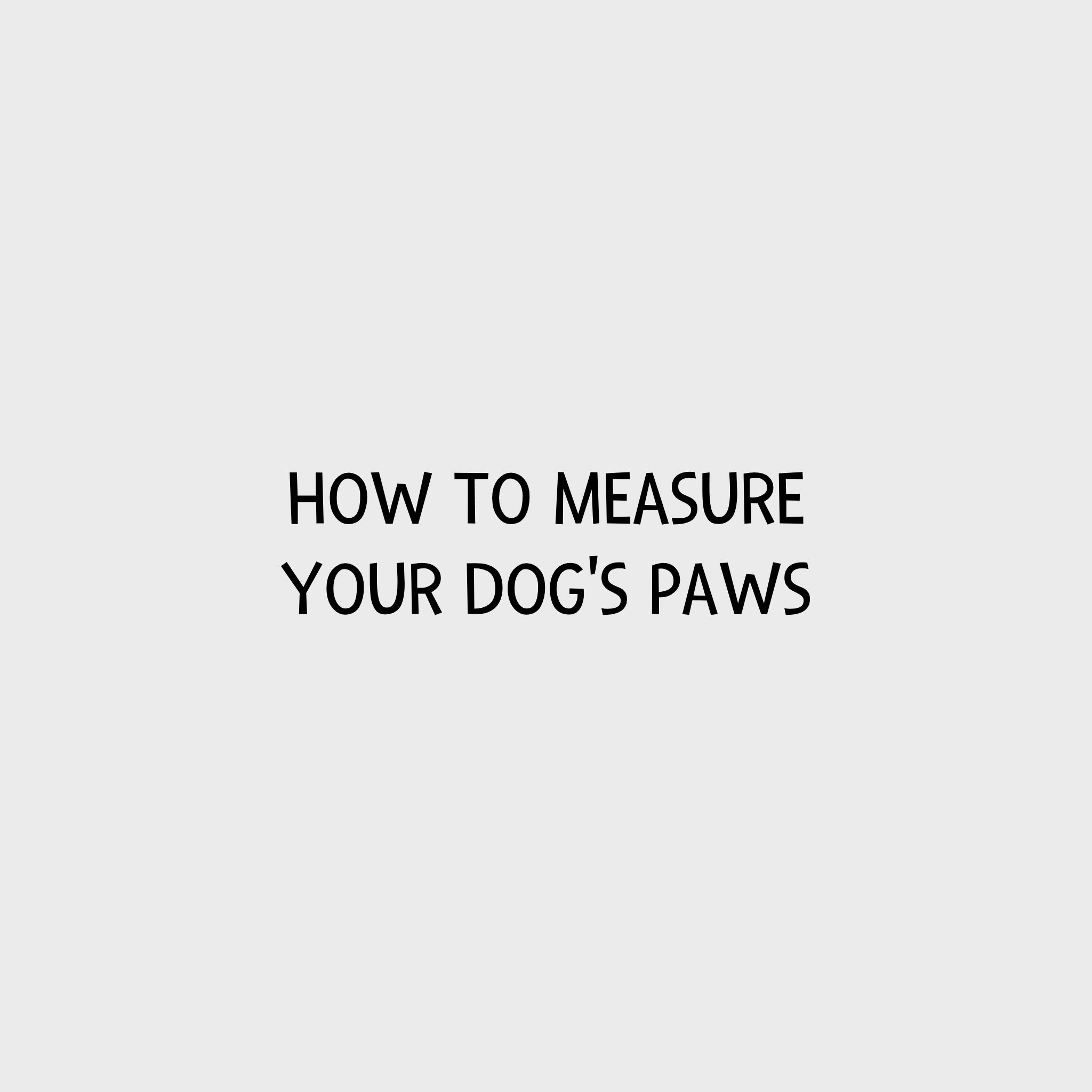 Video - How to measure your dog's paws
