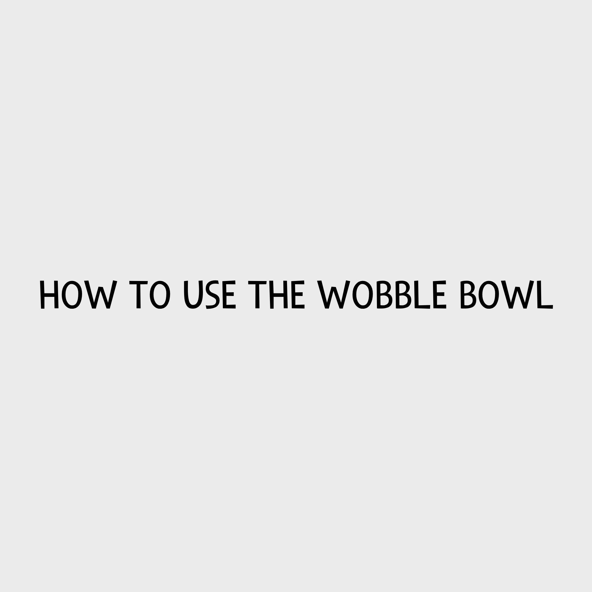 Video - How to use the Nina Ottosson Wobble Bowl