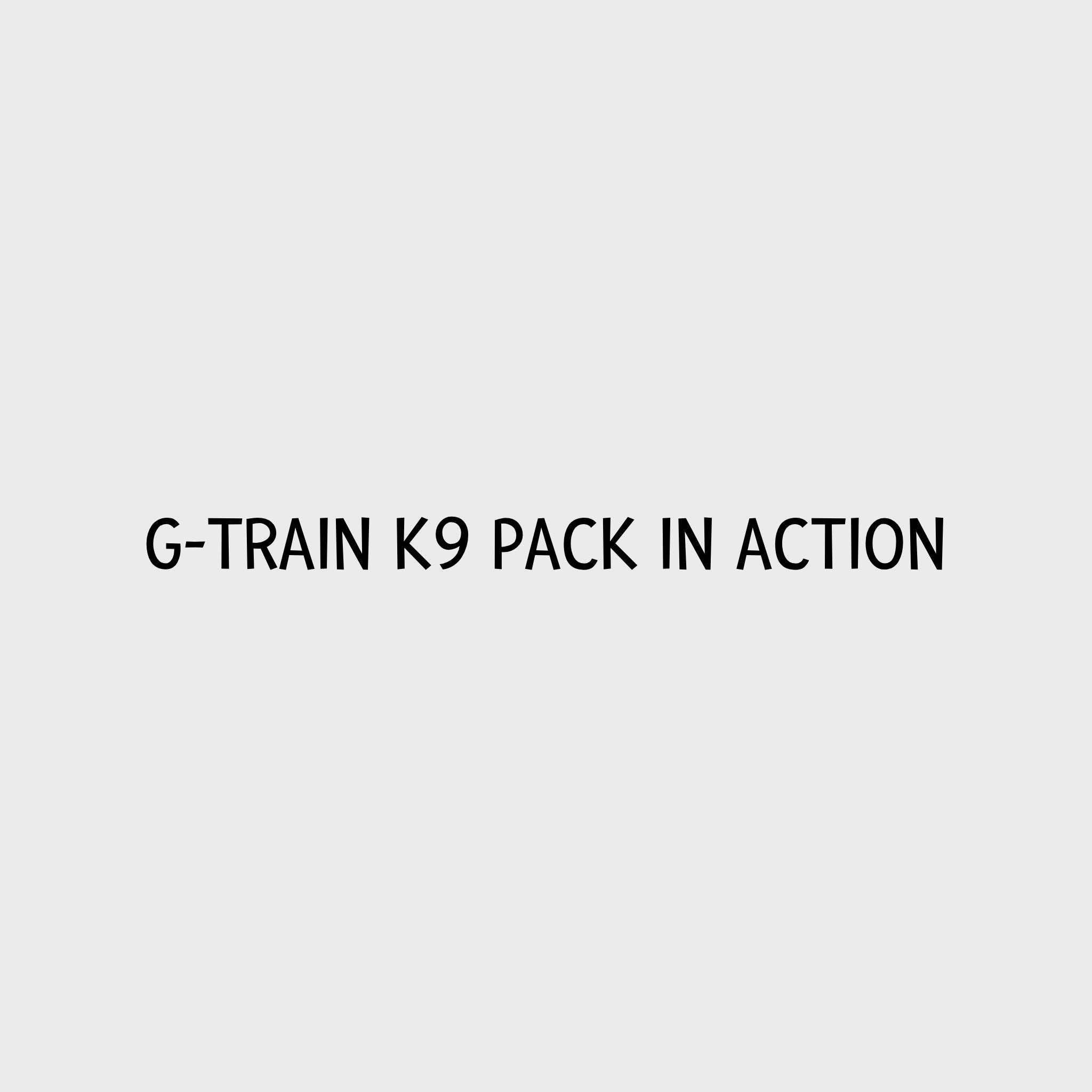 Video - Kurgo G-Train K9 Pack in action