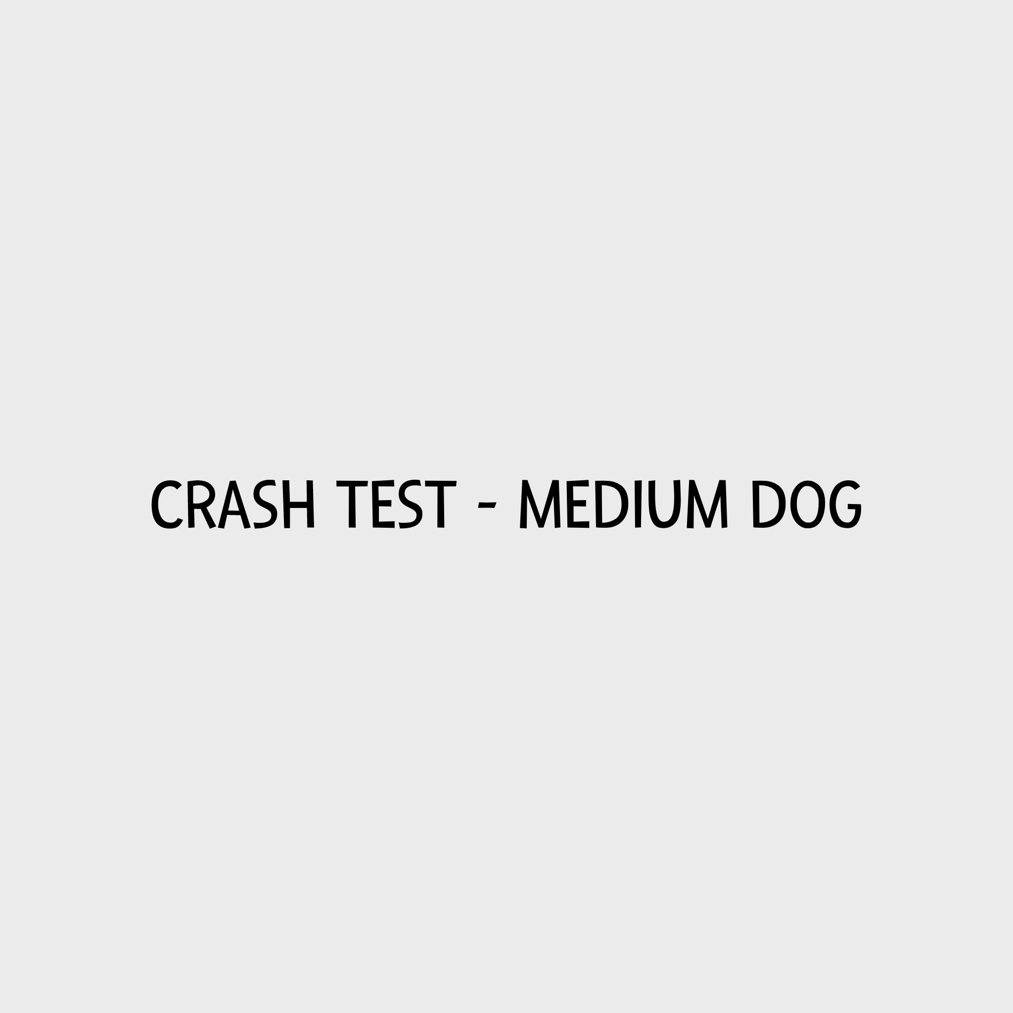 Video - Kurgo Tru-Fit Harness - Crash Test Medium Dog