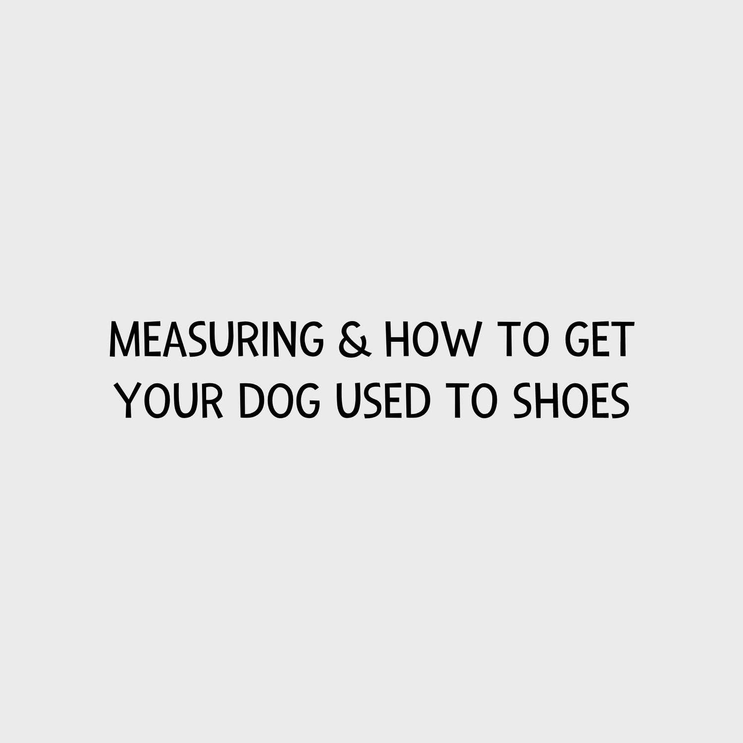 Video - Kurgo Measuring &amp; How to get your dog used to shoes