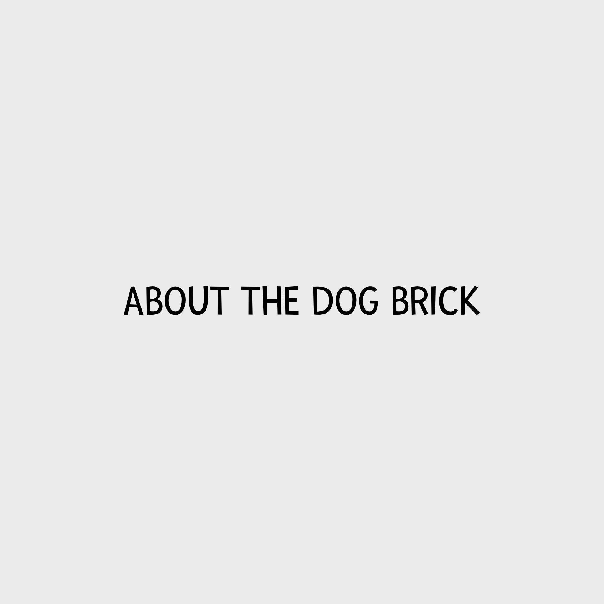 Video - Nina Ottosson Dog Brick