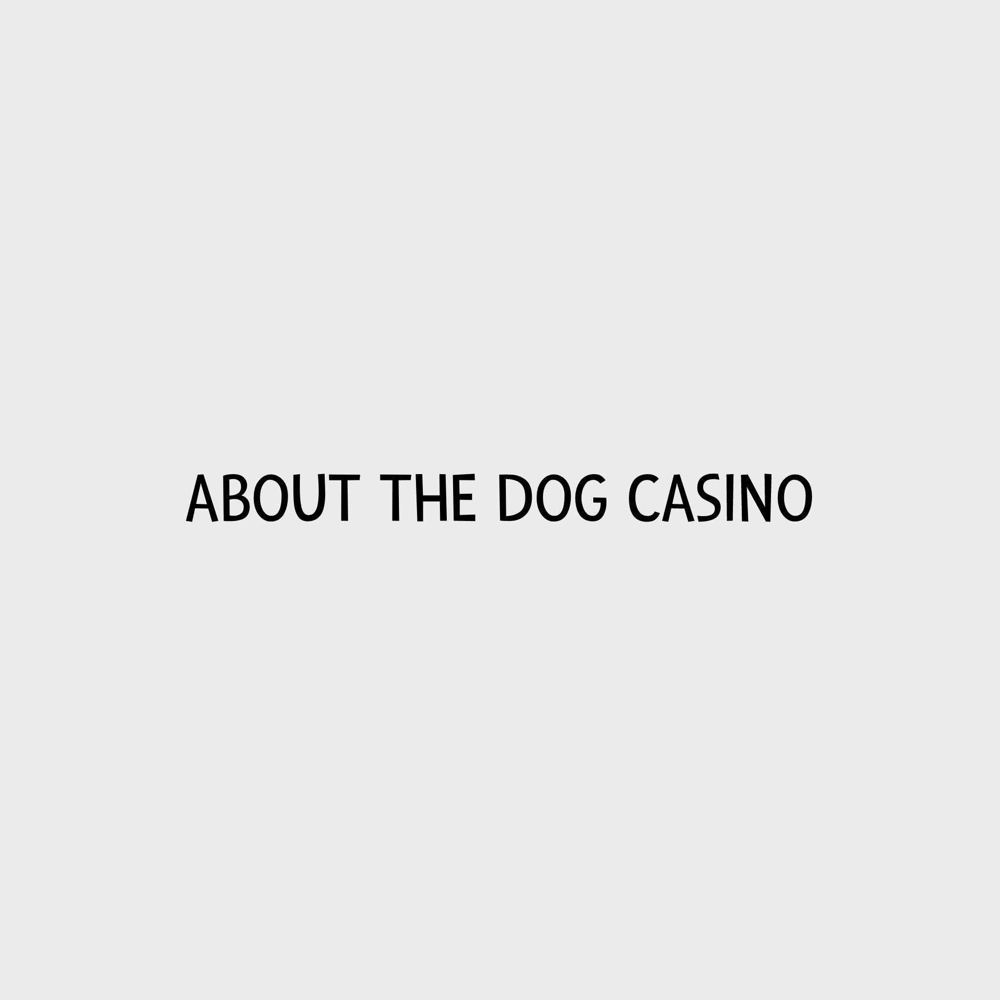 Video - Nina Ottosson Dog Casino