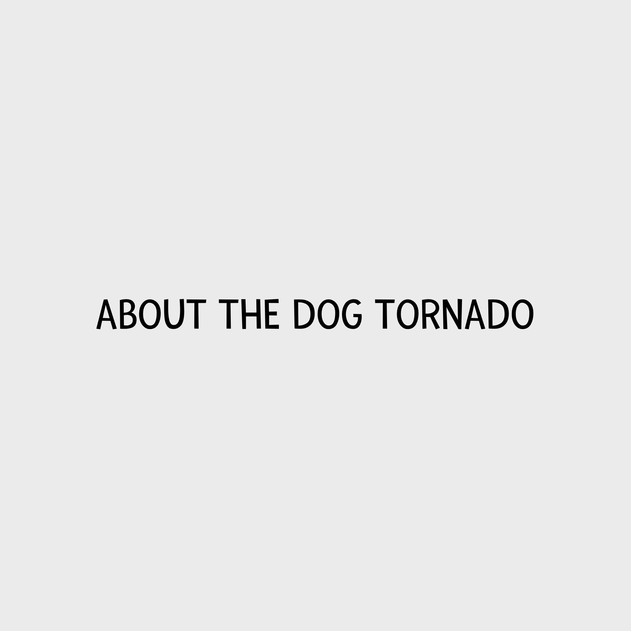 Video - Nina Ottosson Dog Tornado