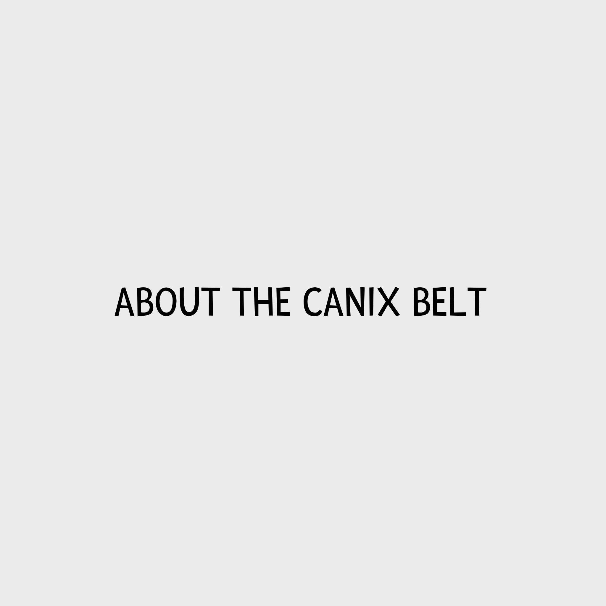 Video - Non-stop dogwear CaniX Belt