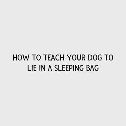 Video - How to teach your dog to lie in a sleeping bag