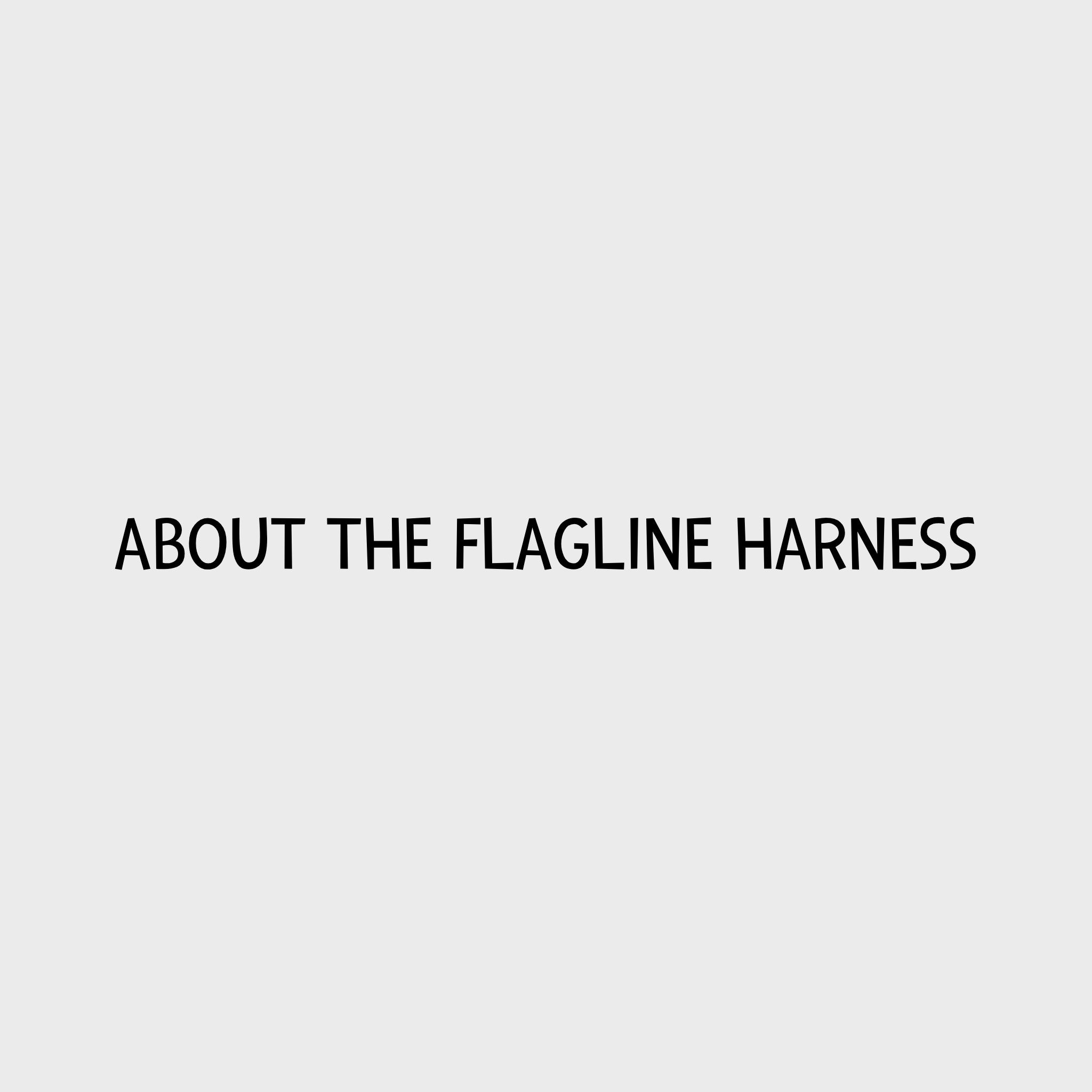 Video - Ruffwear Flagline Harness