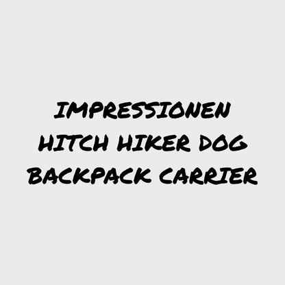 Video Impressionen Ruffwear Hitch Hiker Dog Backpack Carrier