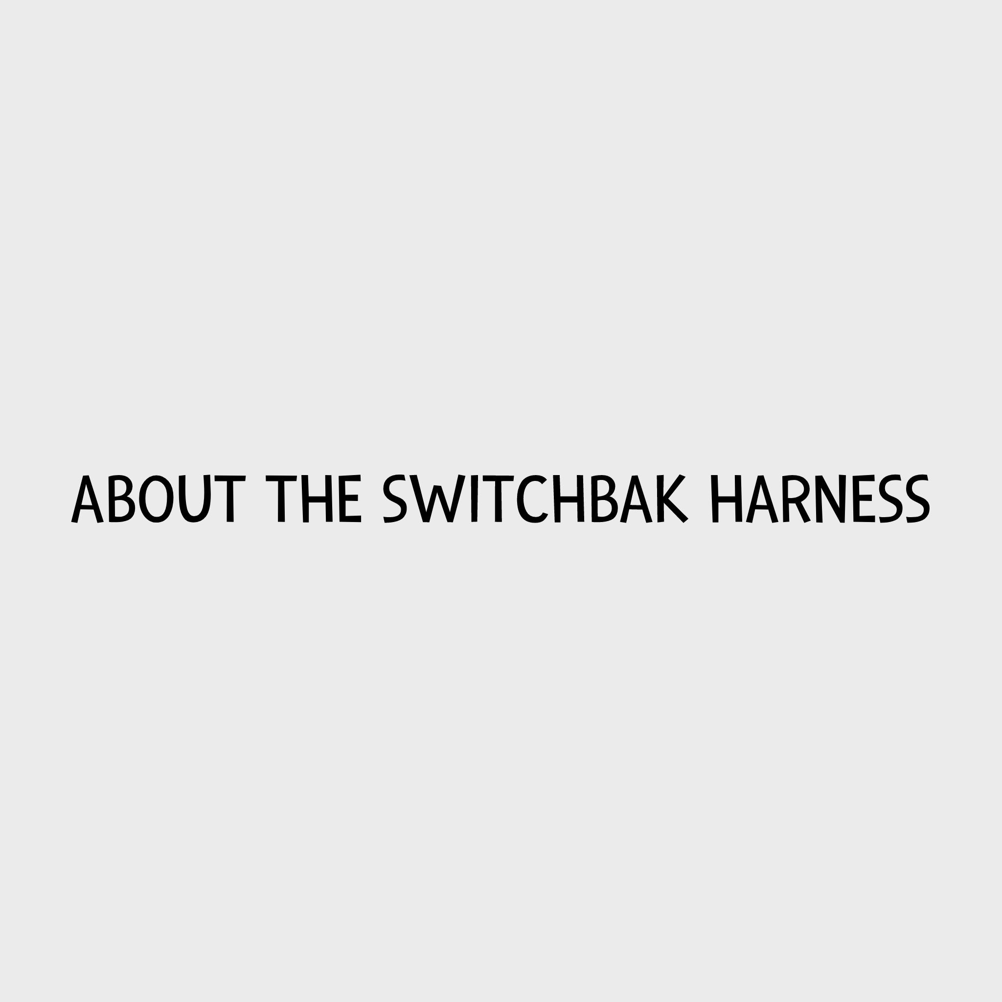 Video - Ruffwear Switchbak Harness