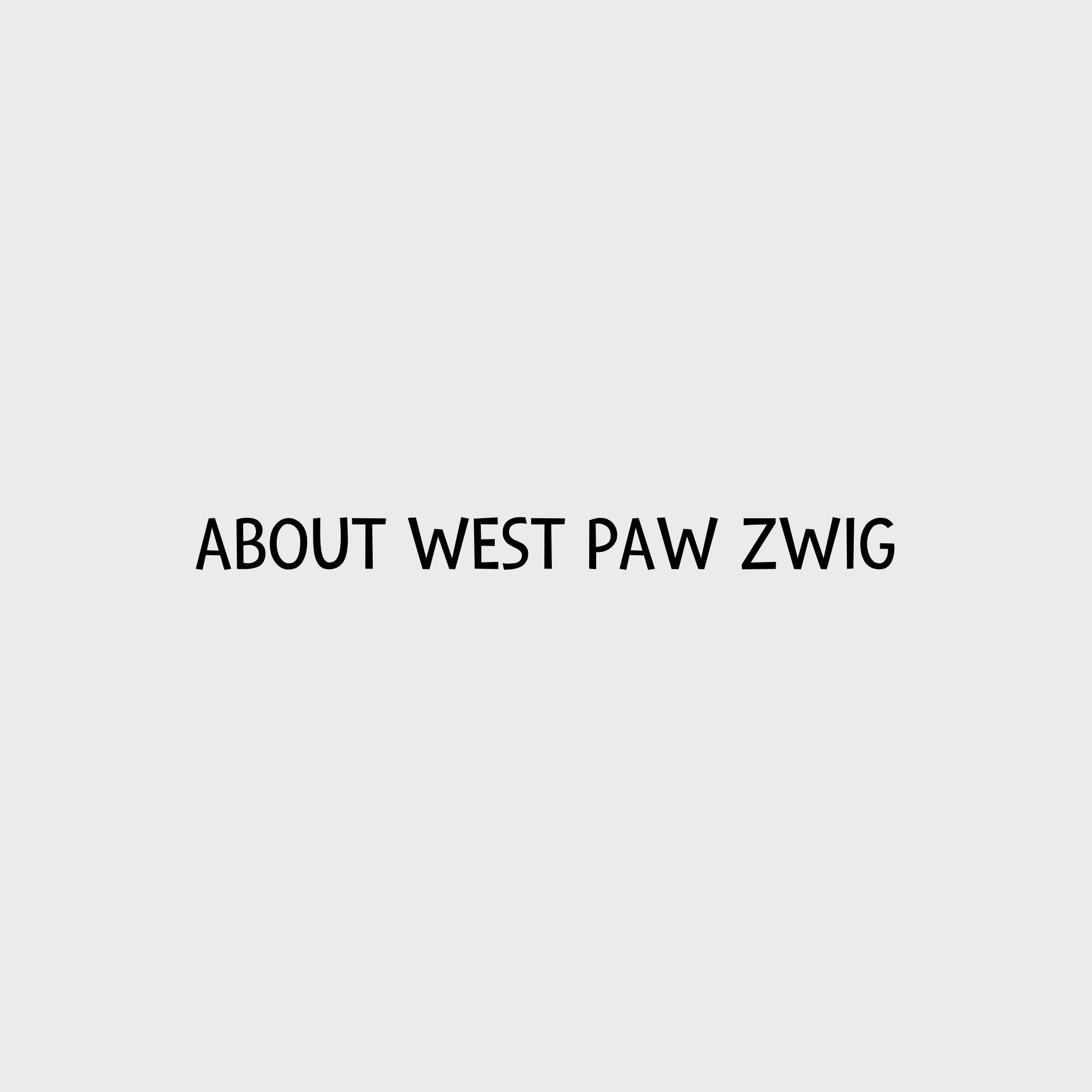 Video - About West Paw Zogoflex Zwig Hundespielzeug