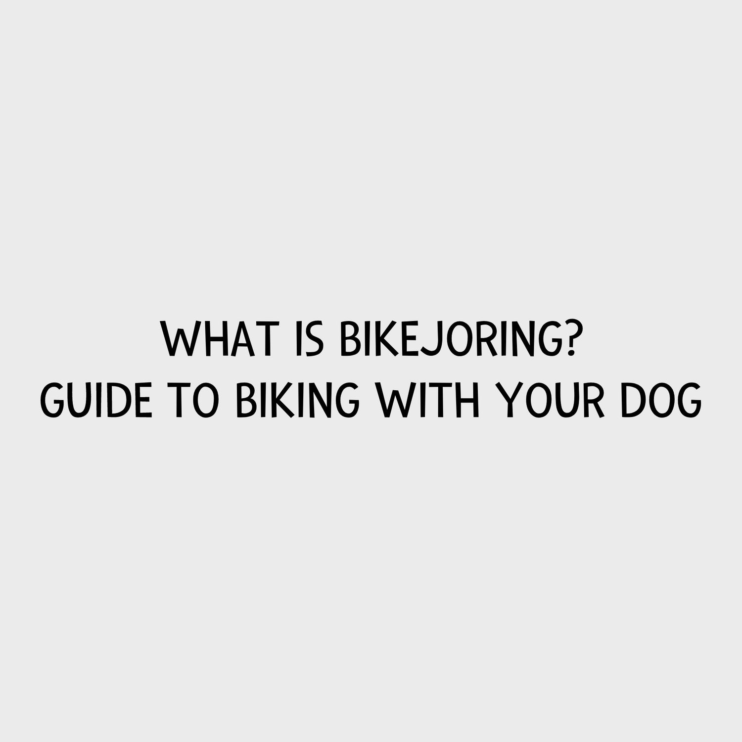 What is bikejoring? Guide to biking with your dog