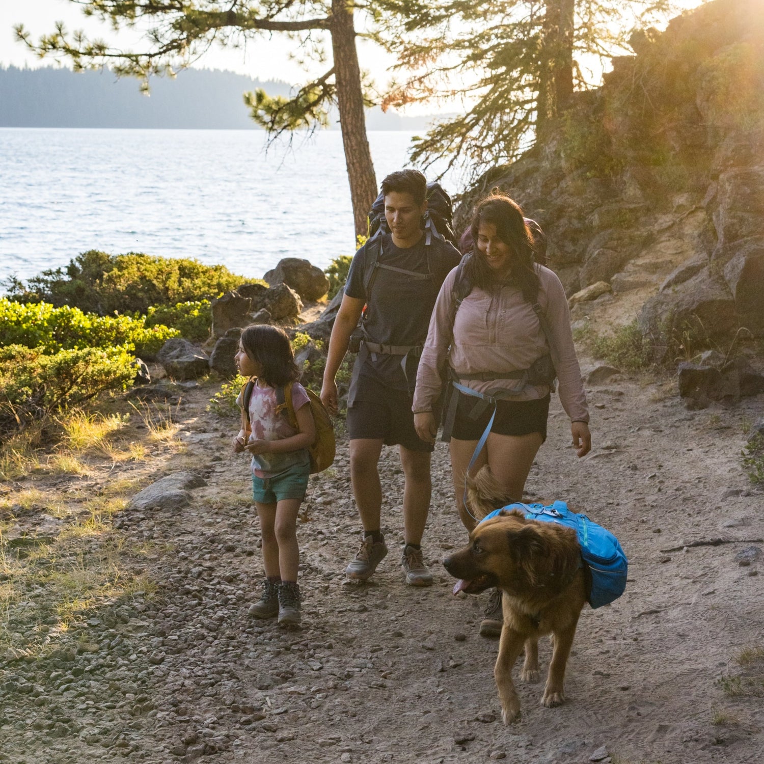 Ruffwear Approach Pack – Ergonomischer Hunderucksack mit Satteltaschen für aktive Hunde auf Trekking &amp; Wandertouren - Woofshack