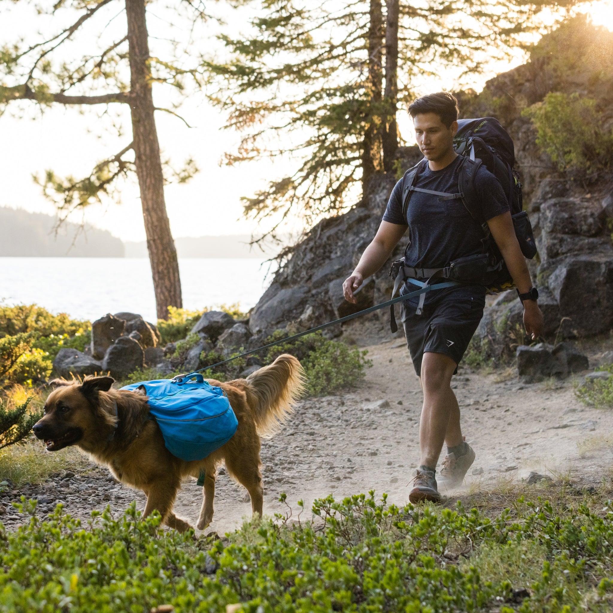 Ruffwear Approach Pack – Ergonomischer Hunderucksack mit Satteltaschen für aktive Hunde auf Trekking &amp; Wandertouren - Woofshack