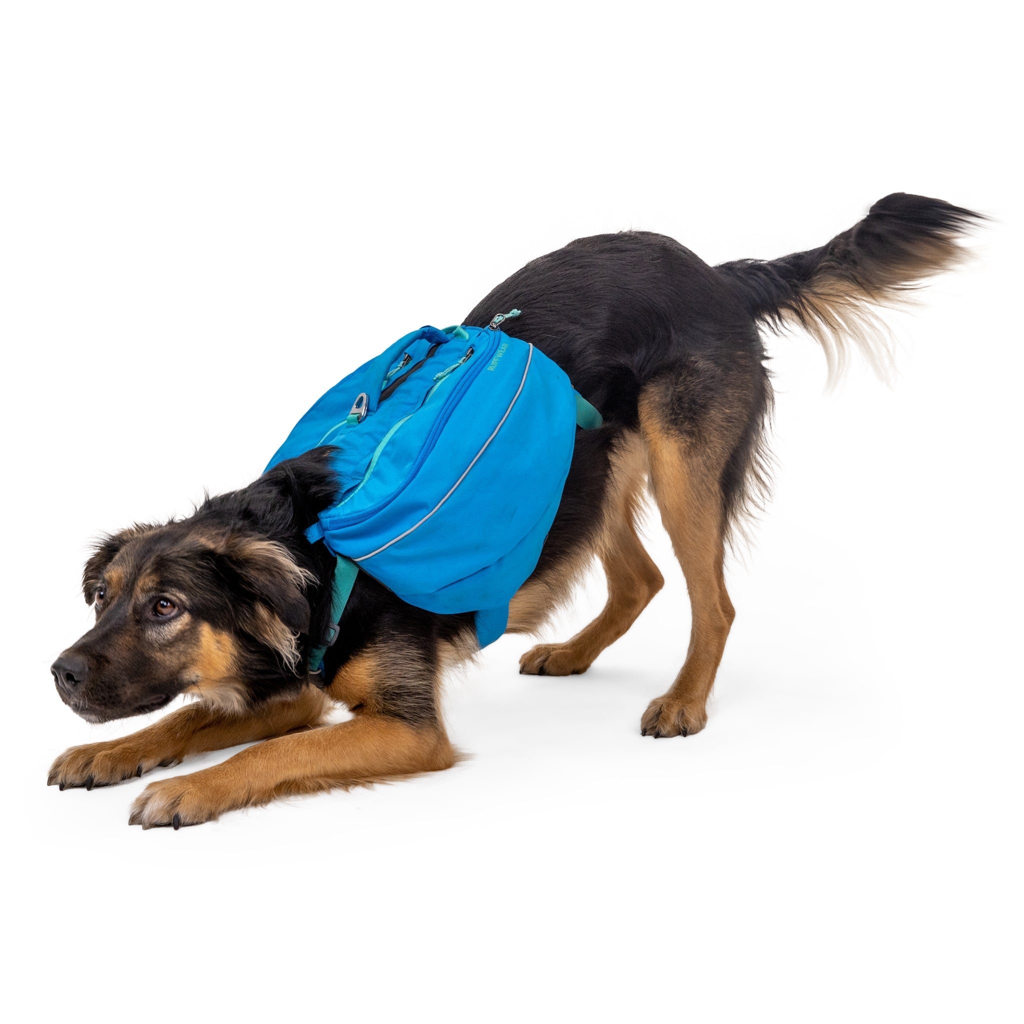 Ruffwear Approach Pack – Ergonomischer Hunderucksack mit Satteltaschen für aktive Hunde auf Trekking &amp; Wandertouren - Woofshack