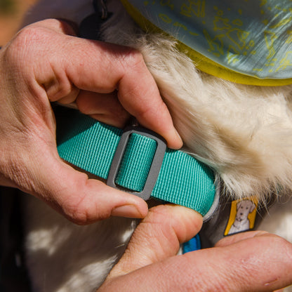 Ruffwear Approach Pack – Ergonomischer Hunderucksack mit Satteltaschen für aktive Hunde auf Trekking &amp; Wandertouren - Woofshack