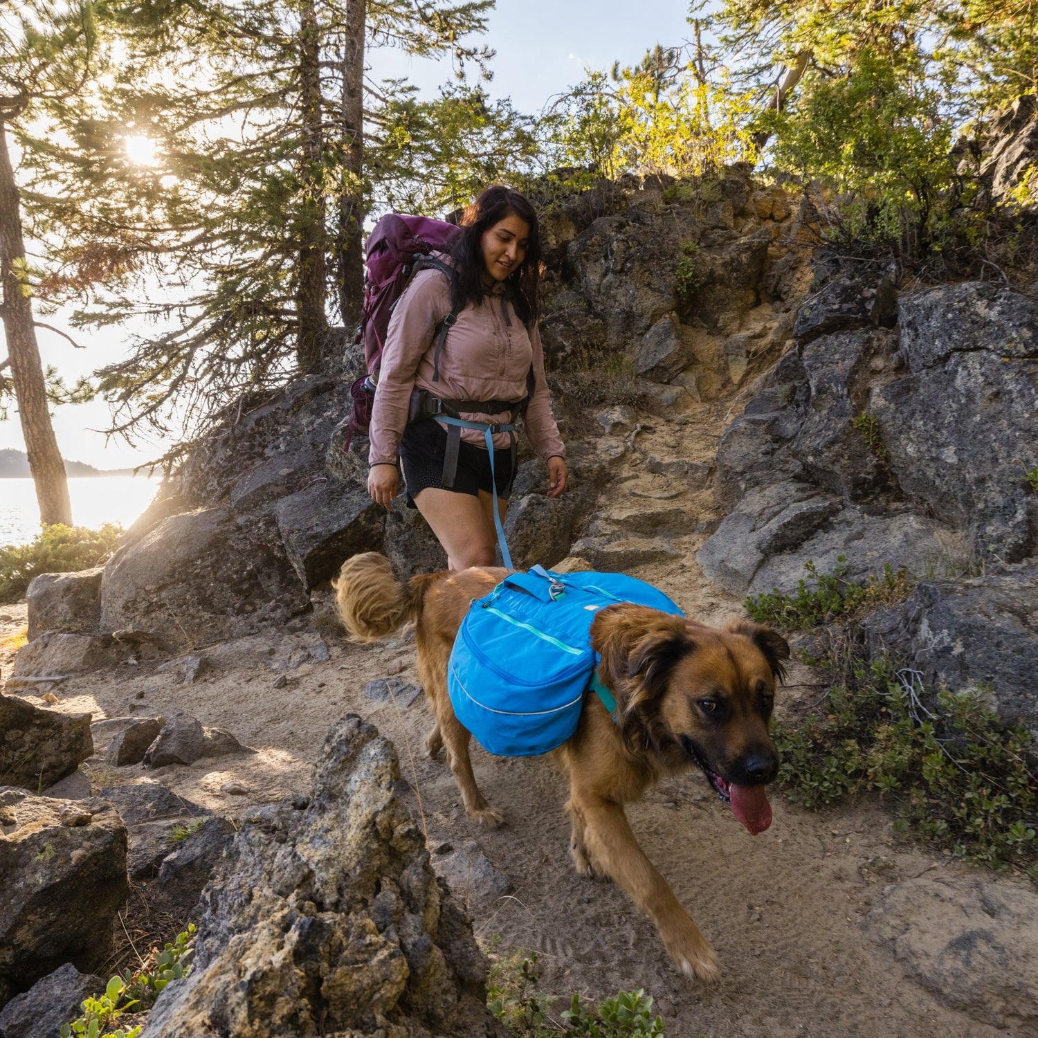 Ruffwear Approach Pack – Ergonomischer Hunderucksack mit Satteltaschen für aktive Hunde auf Trekking &amp; Wandertouren - Woofshack