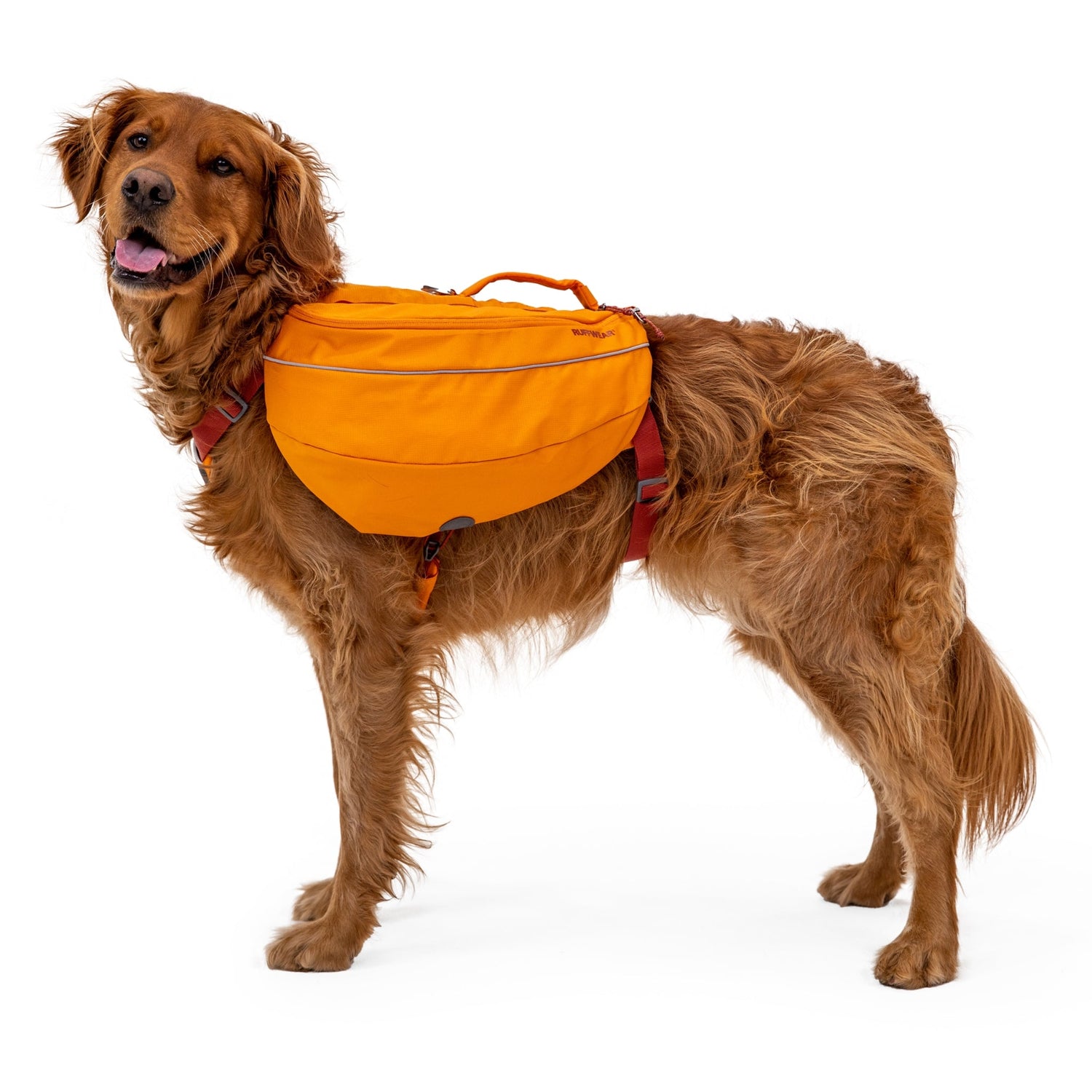 Ruffwear Approach Pack – Ergonomischer Hunderucksack mit Satteltaschen für aktive Hunde auf Trekking &amp; Wandertouren - Woofshack