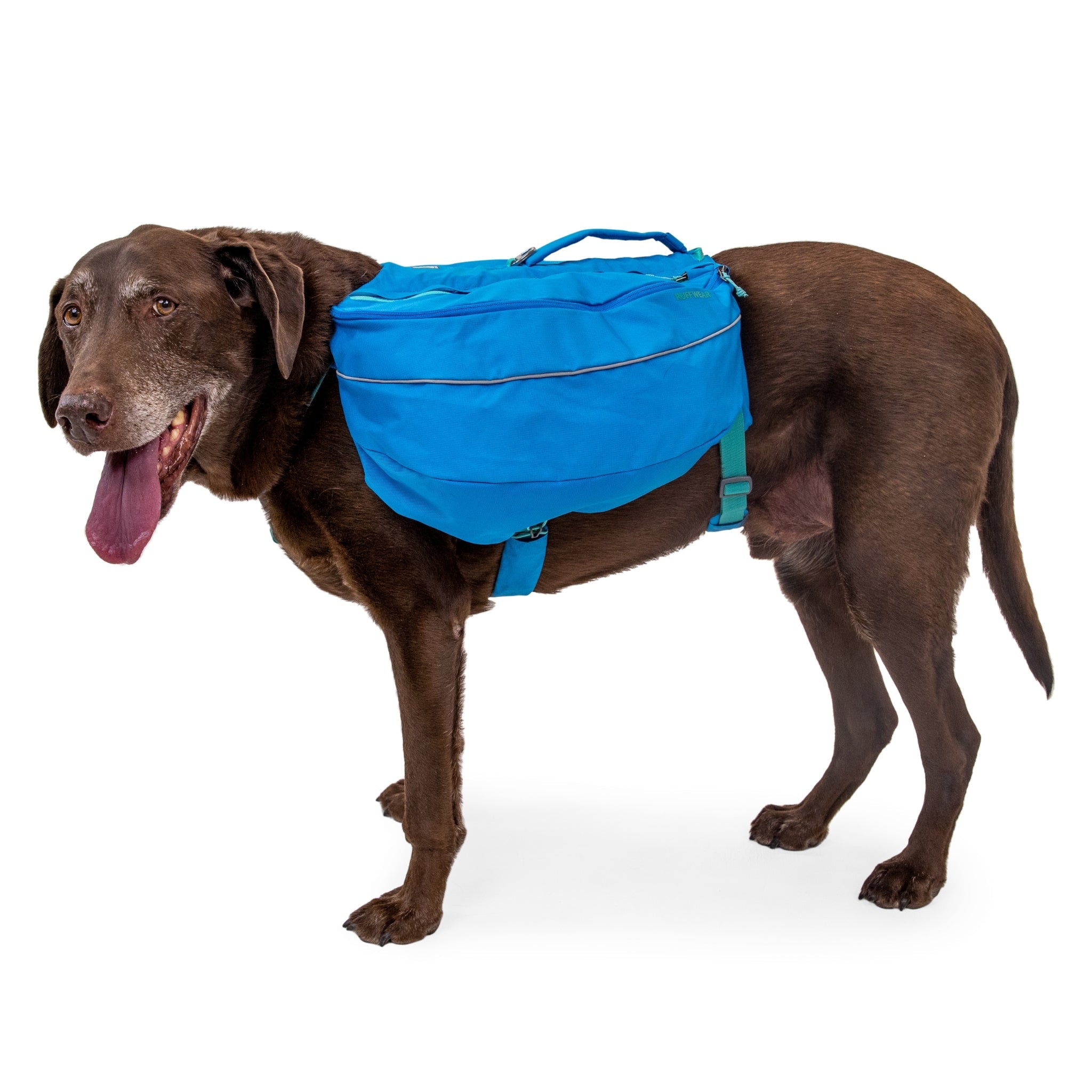 Ruffwear Approach Pack – Ergonomischer Hunderucksack mit Satteltaschen für aktive Hunde auf Trekking &amp; Wandertouren - Woofshack