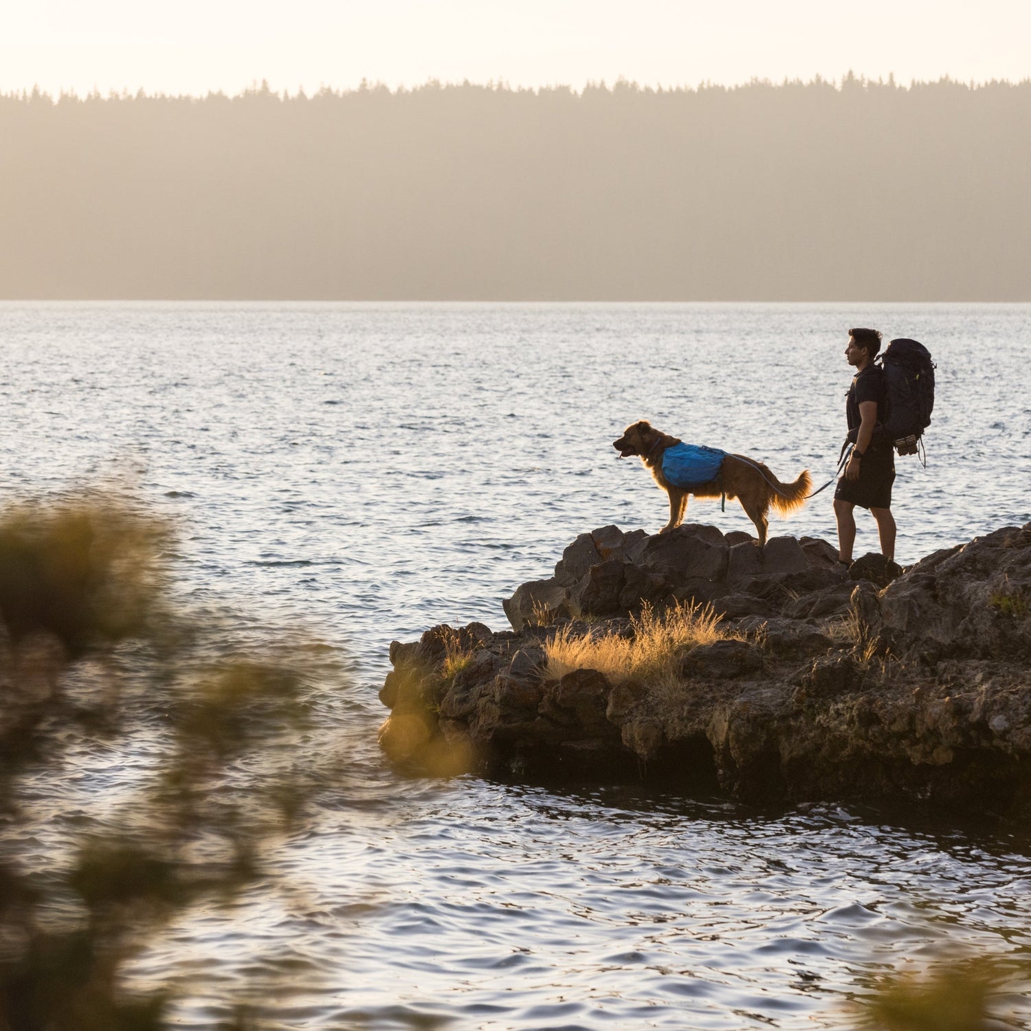 Ruffwear Approach Pack – Ergonomischer Hunderucksack mit Satteltaschen für aktive Hunde auf Trekking &amp; Wandertouren - Woofshack