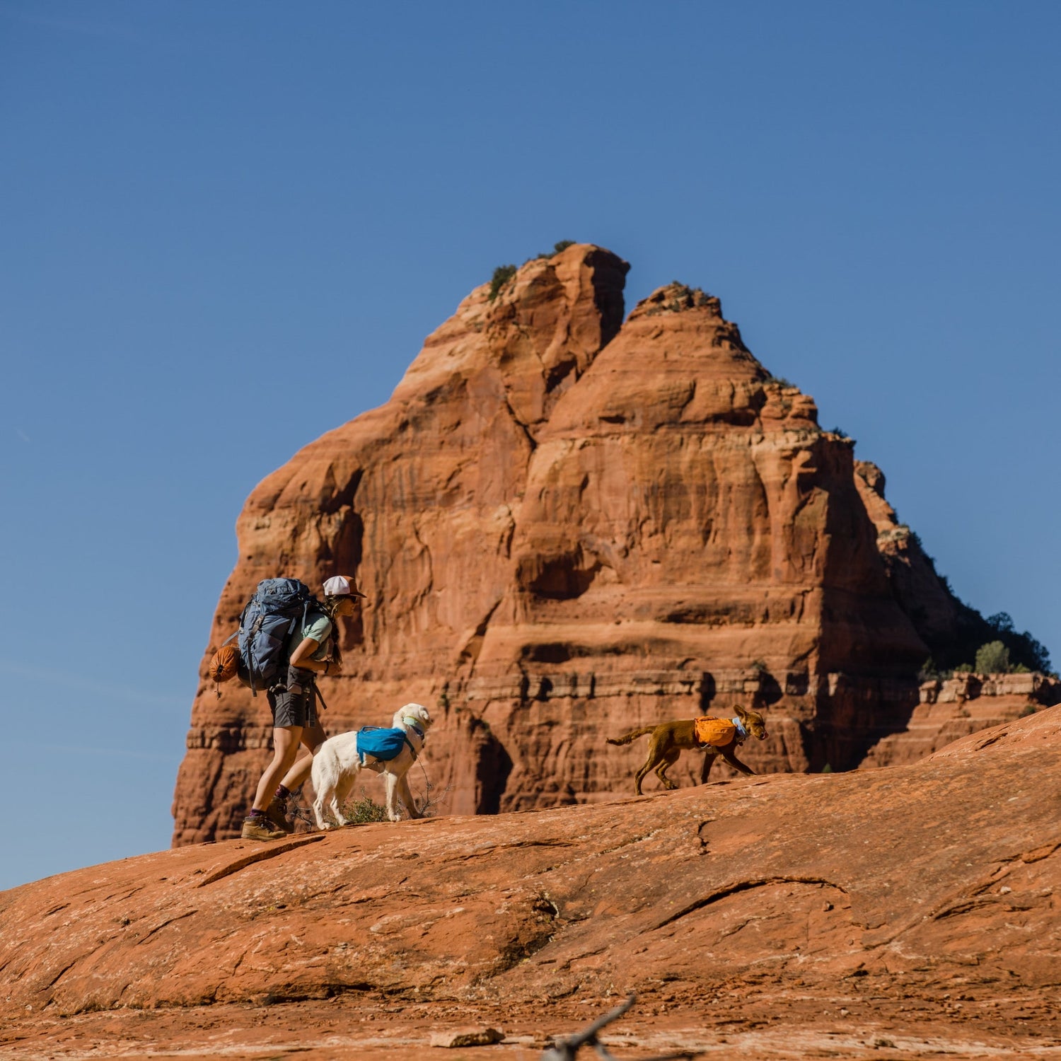 Ruffwear Approach Pack – Ergonomischer Hunderucksack mit Satteltaschen für aktive Hunde auf Trekking &amp; Wandertouren - Woofshack