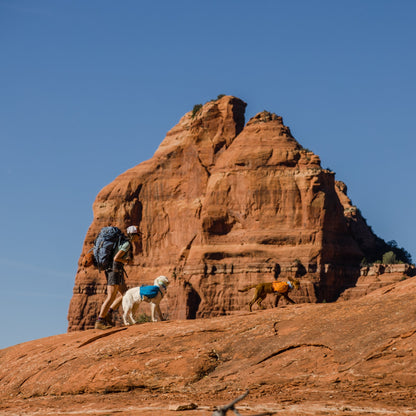 Ruffwear Approach Pack – Ergonomischer Hunderucksack mit Satteltaschen für aktive Hunde auf Trekking &amp; Wandertouren - Woofshack