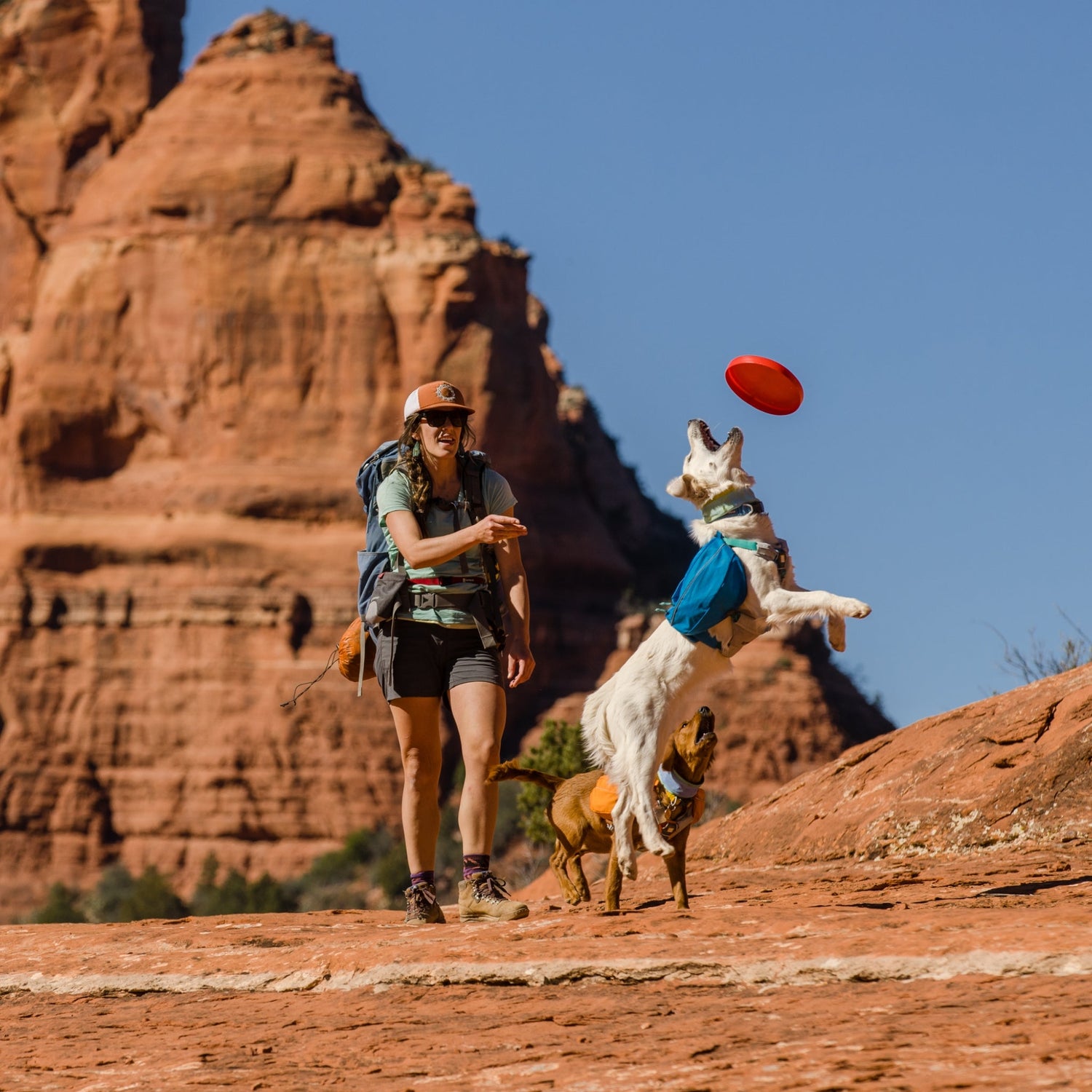 Ruffwear Approach Pack – Ergonomischer Hunderucksack mit Satteltaschen für aktive Hunde auf Trekking &amp; Wandertouren - Woofshack