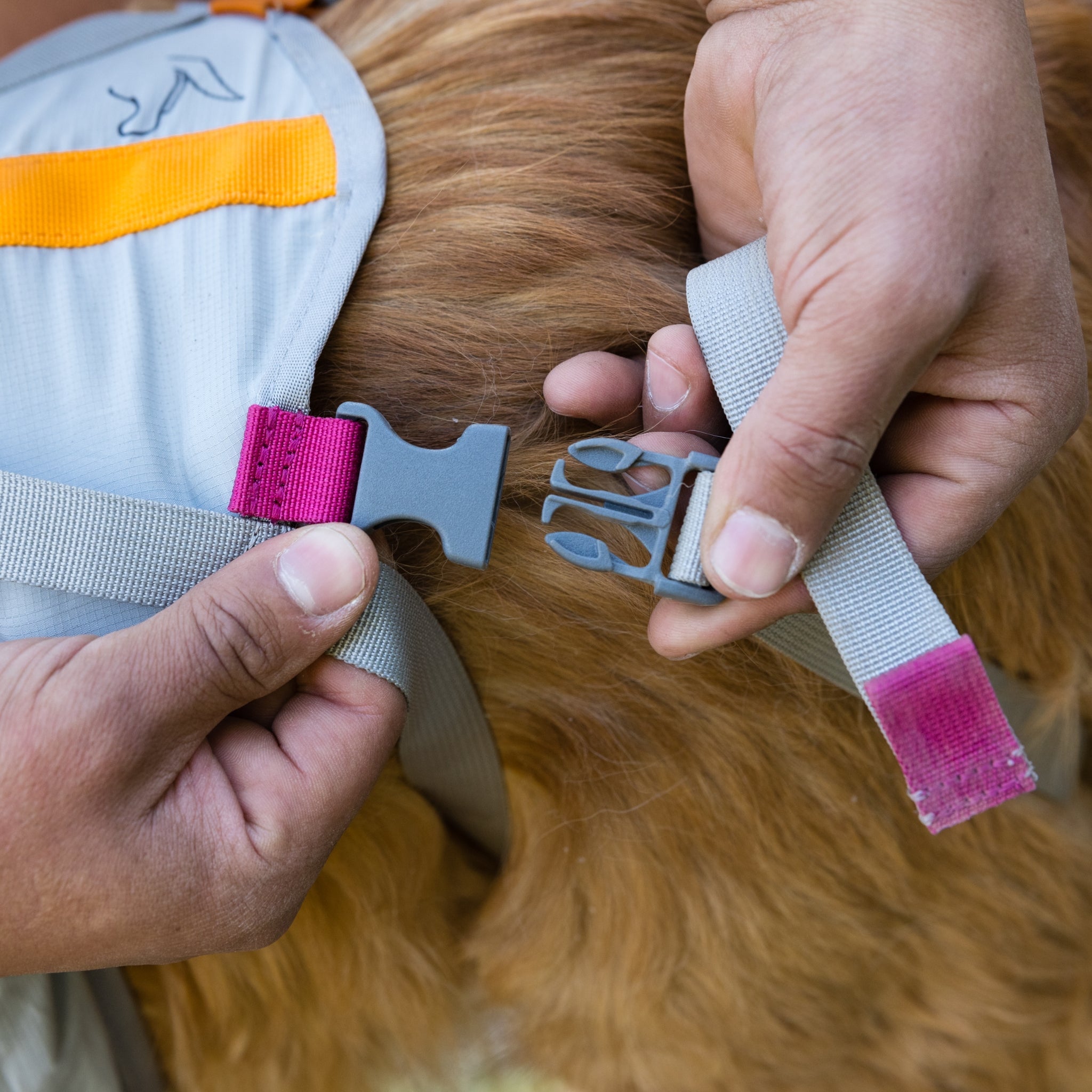 Ruffwear BackTrak Evakuierungsset – Sicheres Hunde - Rettungsgeschirr für Notfälle - Woofshack