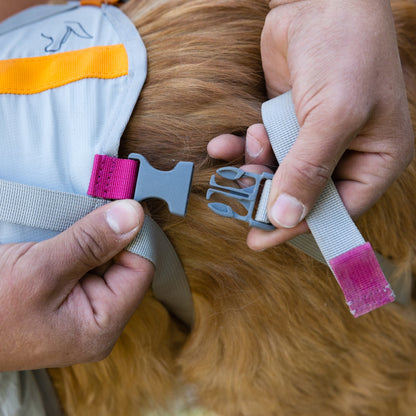 Ruffwear BackTrak Evakuierungsset – Sicheres Hunde - Rettungsgeschirr für Notfälle - Woofshack