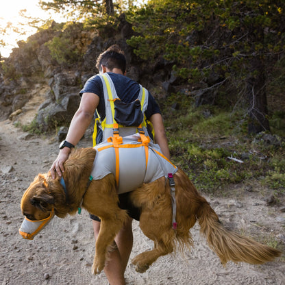 Ruffwear BackTrak Evakuierungsset – Sicheres Hunde - Rettungsgeschirr für Notfälle - Woofshack