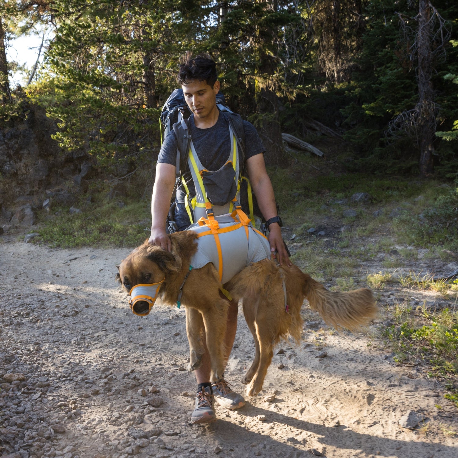 Ruffwear BackTrak Evakuierungsset – Sicheres Hunde - Rettungsgeschirr für Notfälle - Woofshack