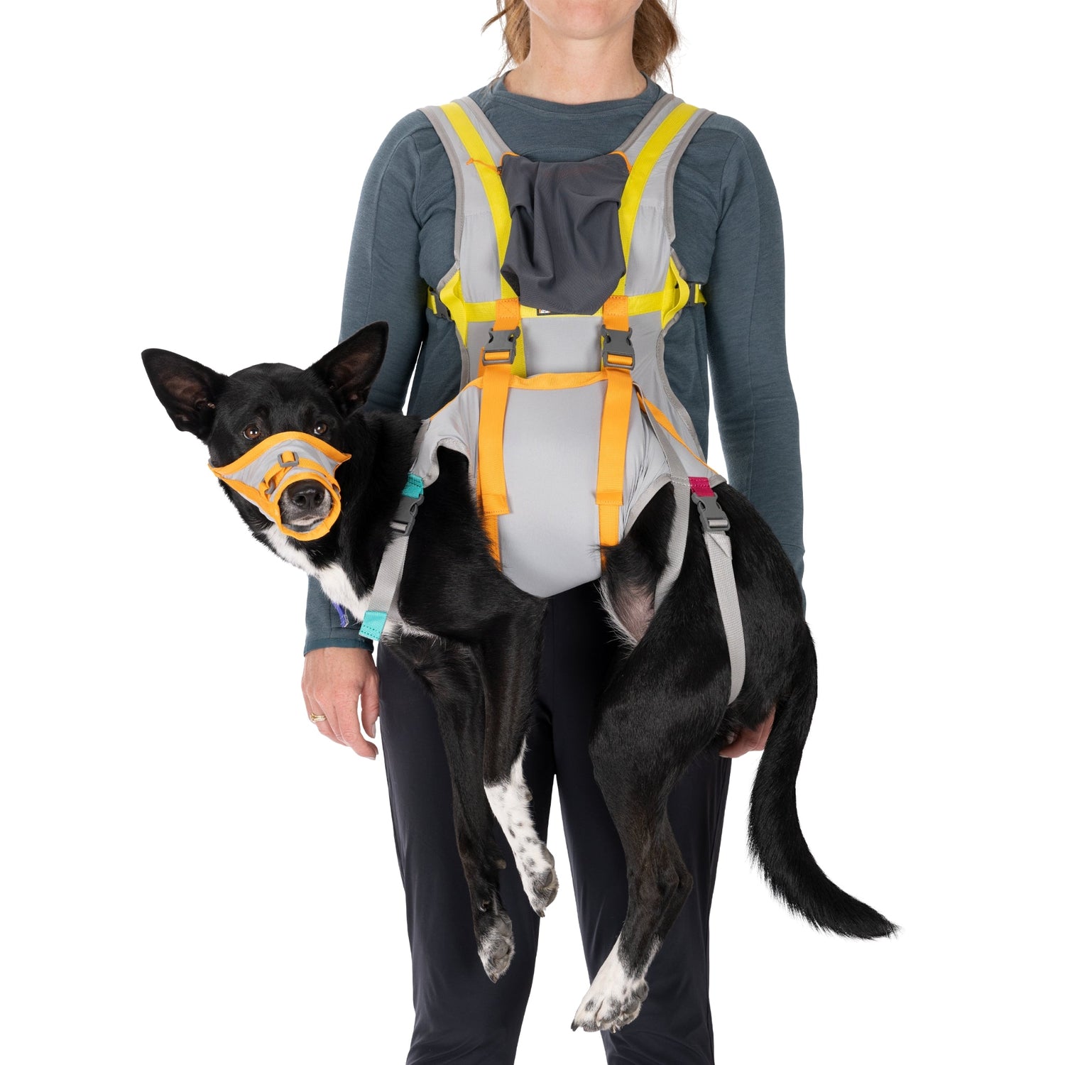 Ruffwear BackTrak Evakuierungsset – Sicheres Hunde - Rettungsgeschirr für Notfälle - Woofshack