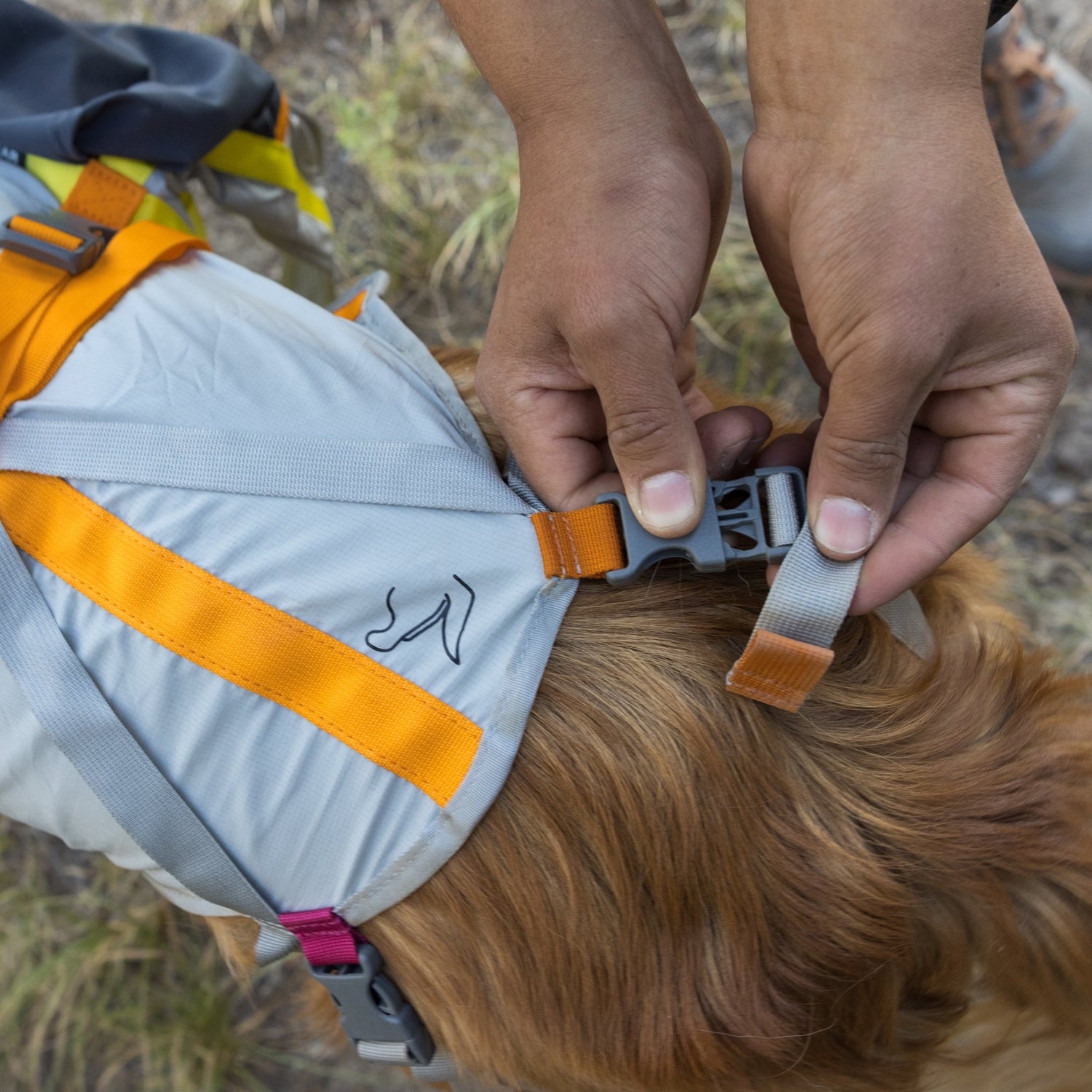 Ruffwear BackTrak Evakuierungsset – Sicheres Hunde - Rettungsgeschirr für Notfälle - Woofshack